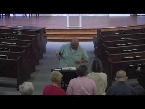 Connected to the Vine